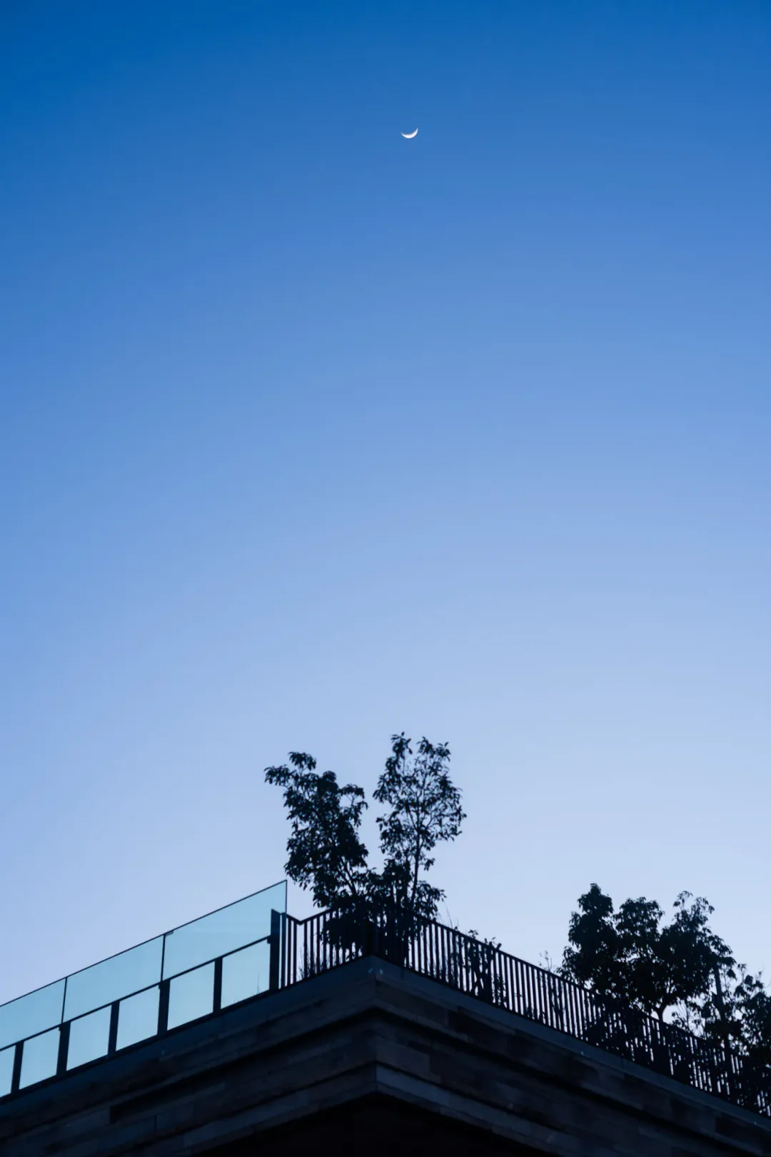 /_astro/photo_01.B4VkajKD.webp