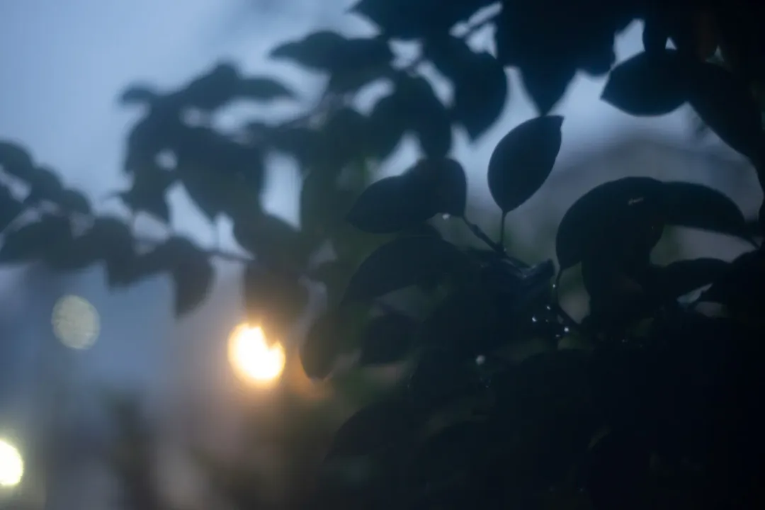 /_astro/photo_04.DAOKwPZ2.webp