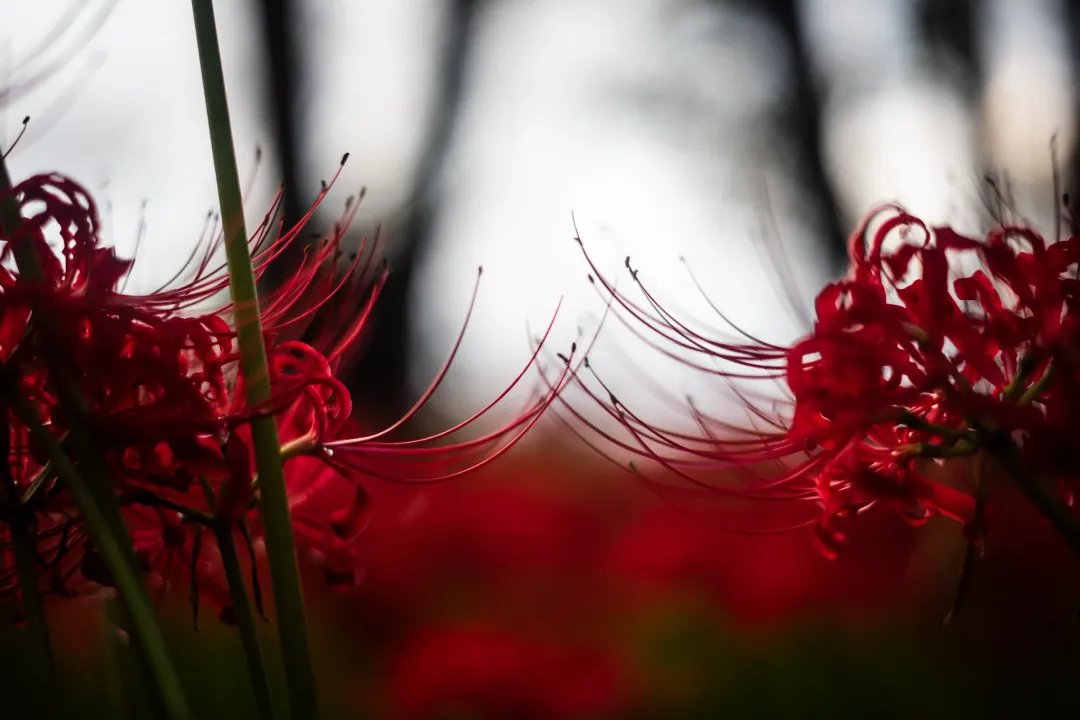 /_astro/photo_06.Bj3nXi33.webp