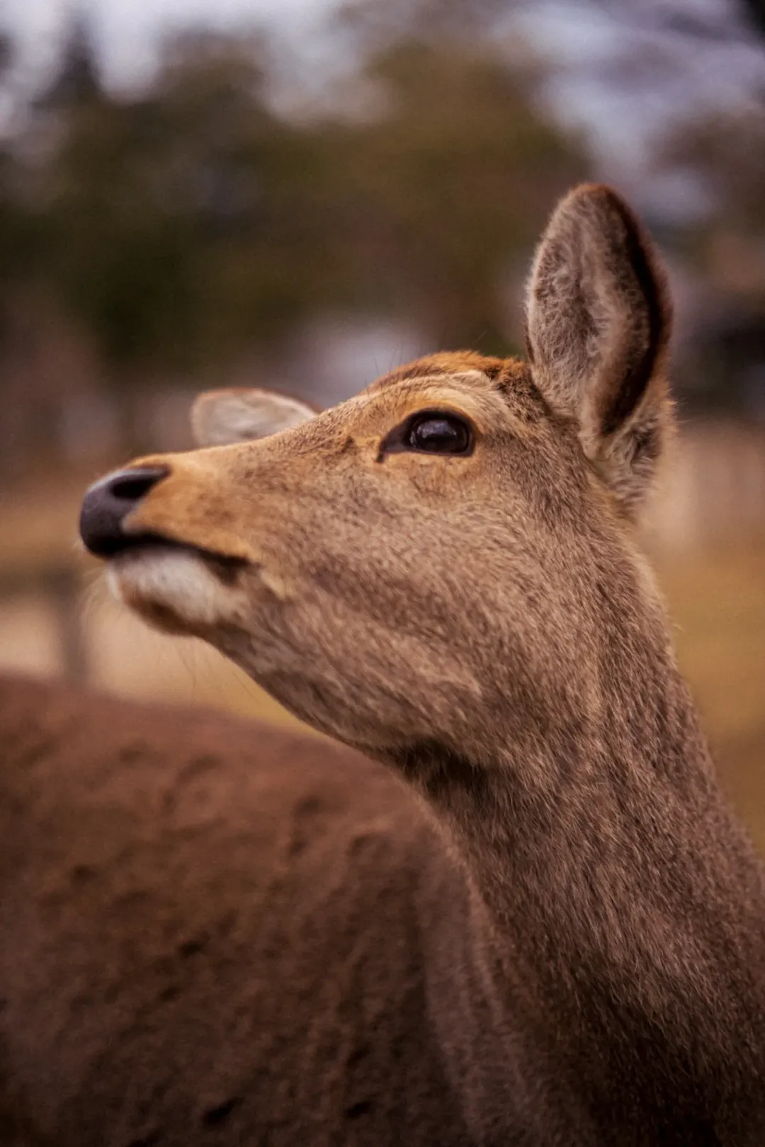 /_astro/photo_07.B_zEClA7.webp