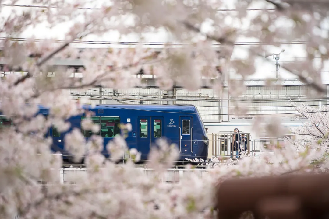 /_astro/photo_08.DoPkUJtm.webp